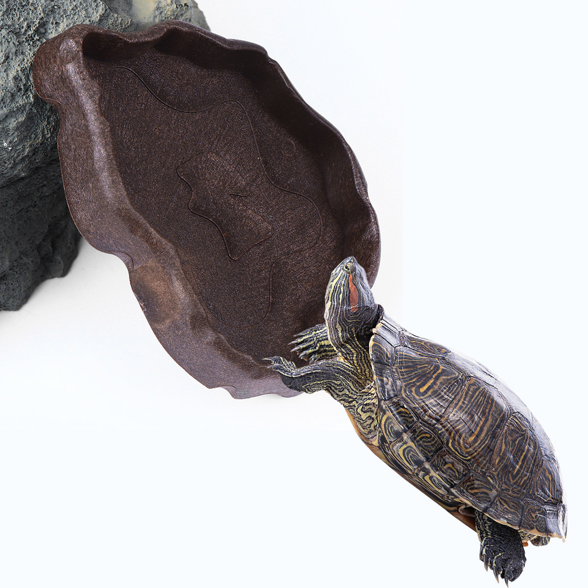 Water Dish Reptile - طبق طعام من الراتنج للزواحف مقاس