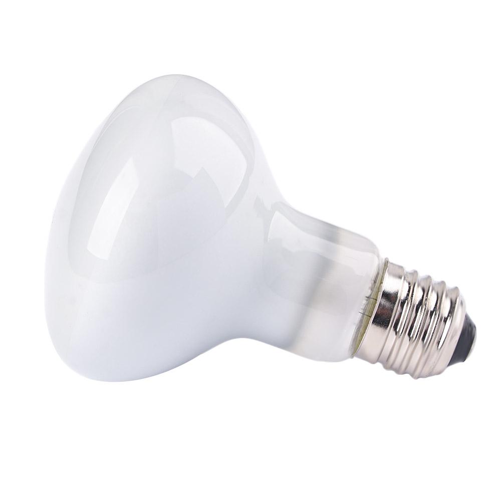 Basking Bulb Halogen - جهاز تحكم في درجة حرارة الحيوانات