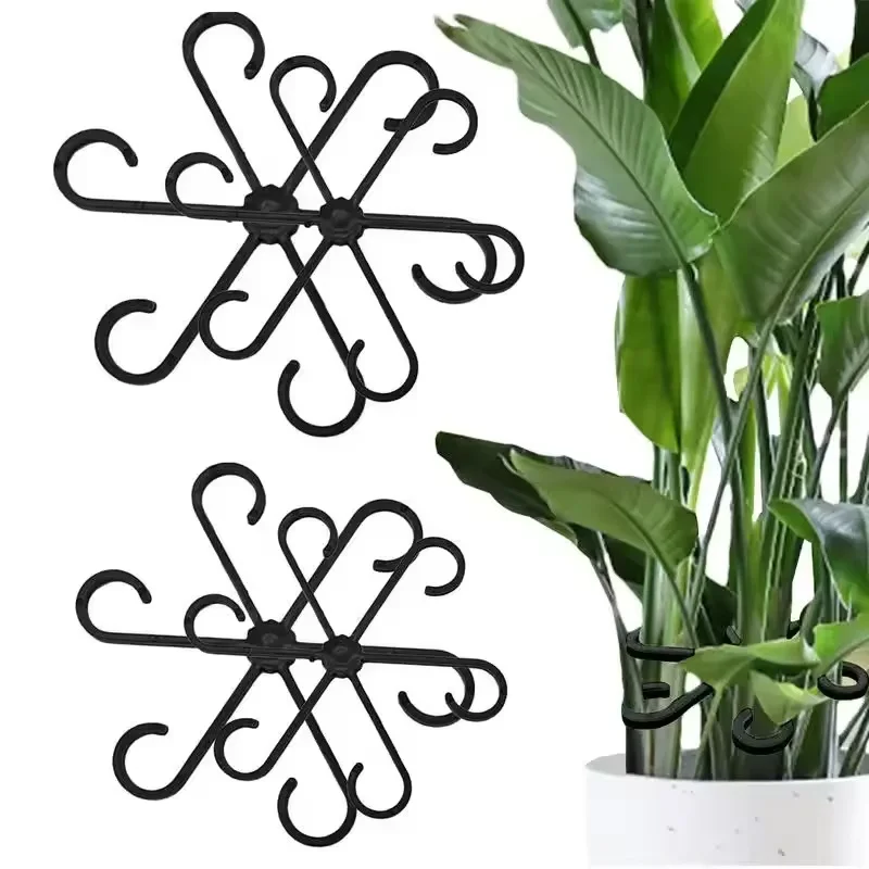 Vine Climbing Plastic - دعامات أوراق نباتات الألوكاسيا والمونستيرا، 4