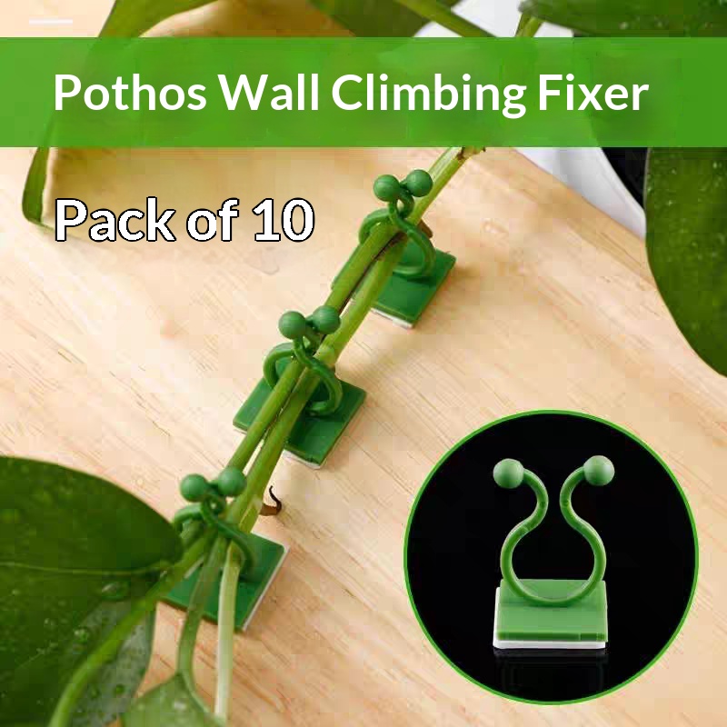 Vine Climbing Plastic - مشابك تثبيت النباتات المتسلقة ذاتية اللصق