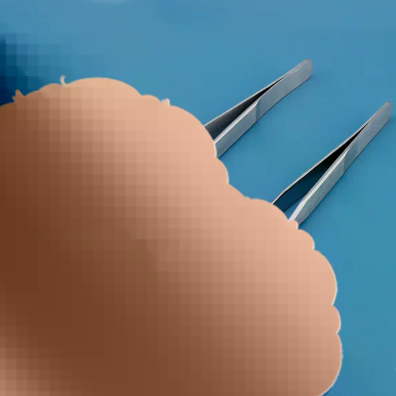 Feeding Tong Stainless - ملقط تغذية الزواحف من الفولاذ المقاوم