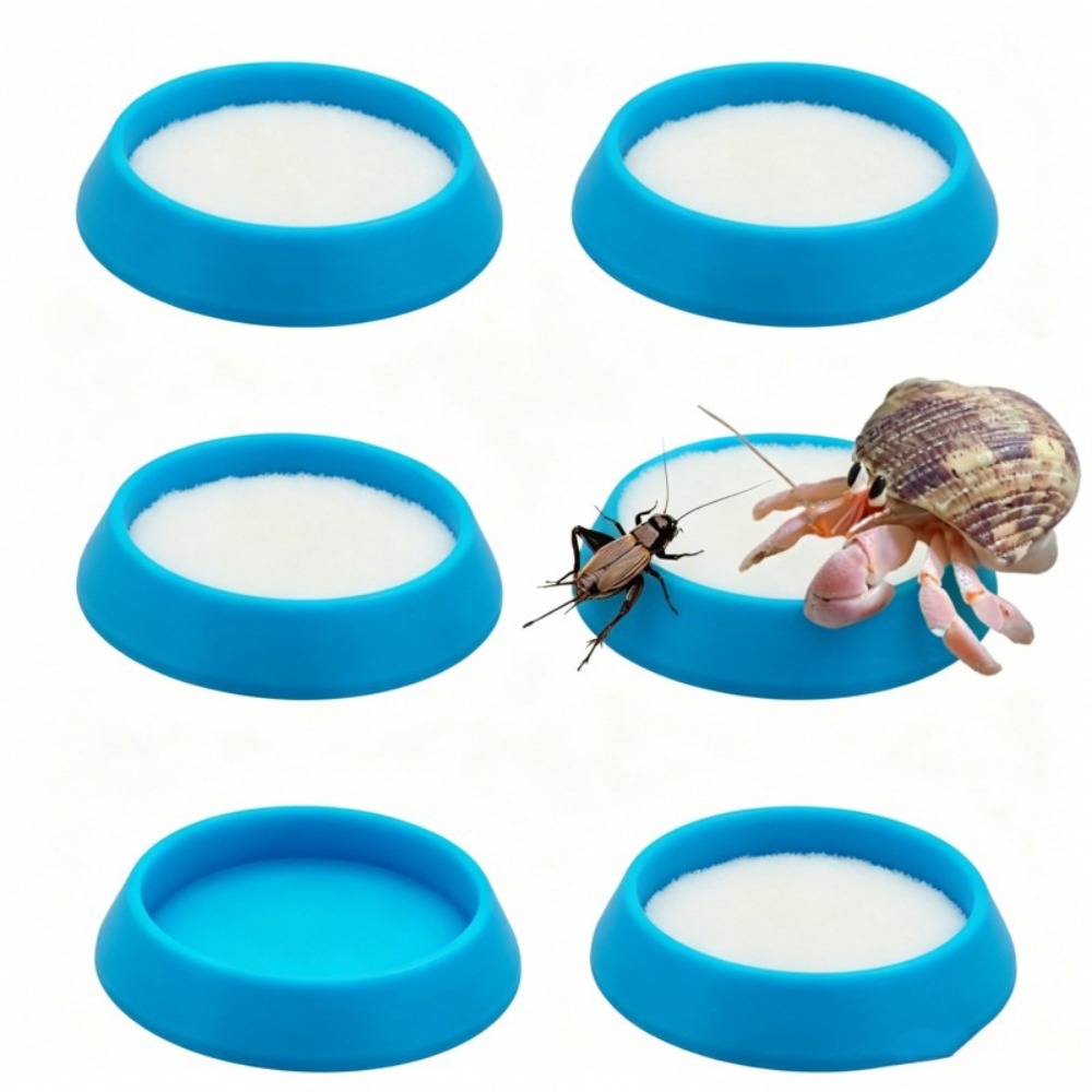 Water Dish Reptile - 6 قطع من أطباق تغذية الزواحف