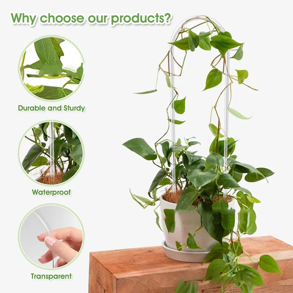 Vine Climbing Plastic - إطار دعم من الأكريليك على شكل