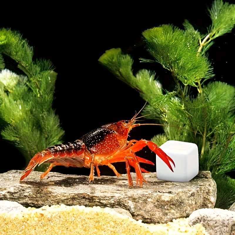 Calcium Powder Reptile - 6 قطعة خزان الأسماك كتلة الكالسيوم