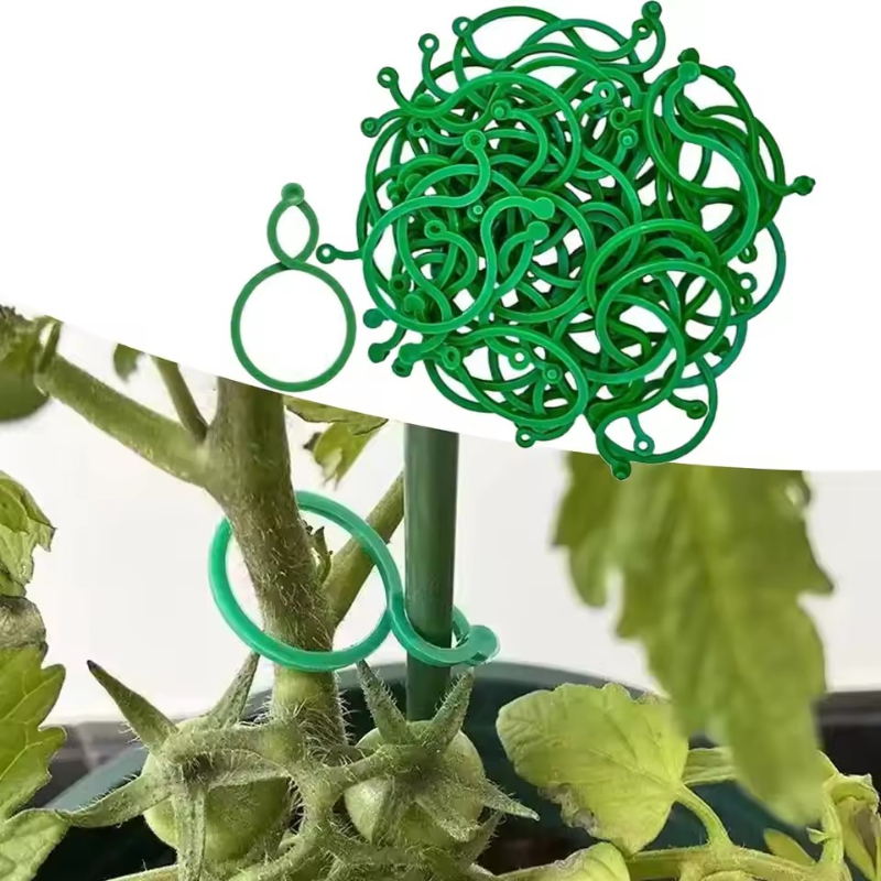 50-400 قطعة من مشابك دعم النبا - مراجعة Vine Climbing Plastic وسعره