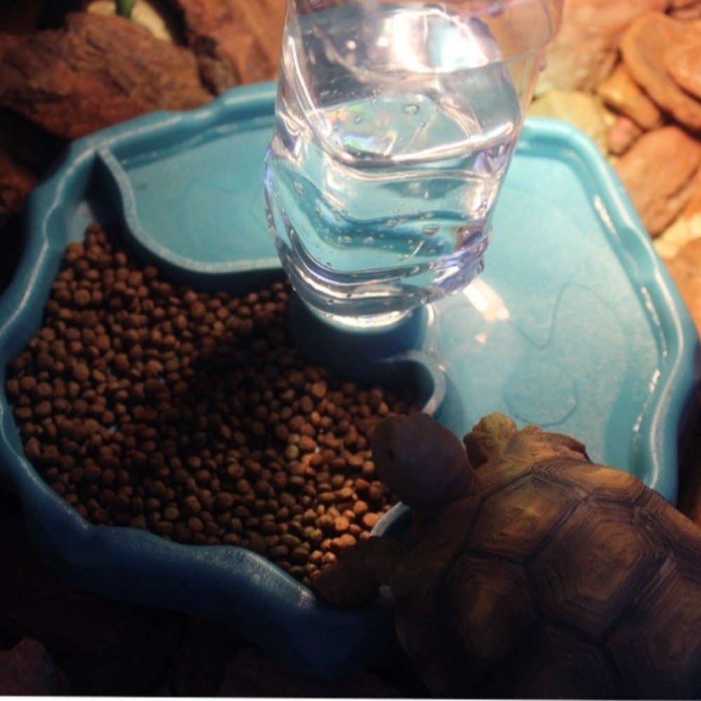 وعاء طعام جديد قابل للإزالة لل - مراجعة Water Dish Reptile وسعره