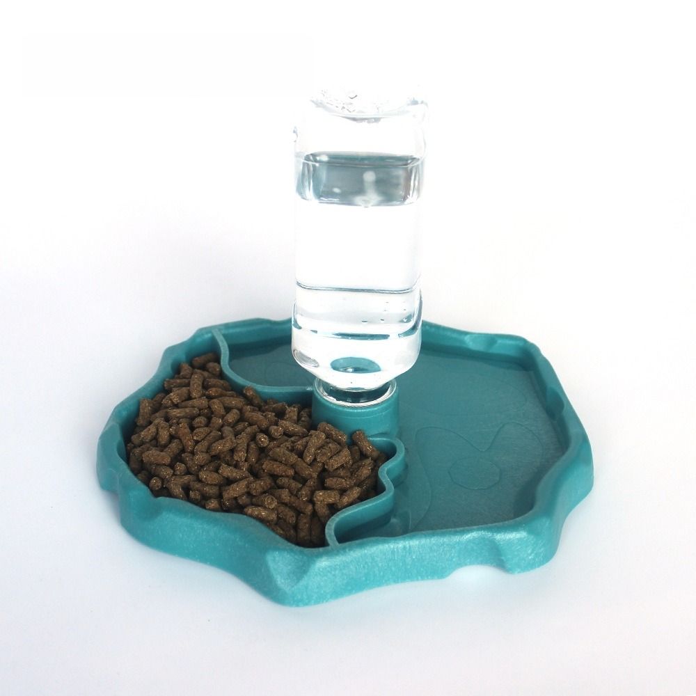 وعاء طعام جديد قابل للإزالة لل - مراجعة Water Dish Reptile وسعره