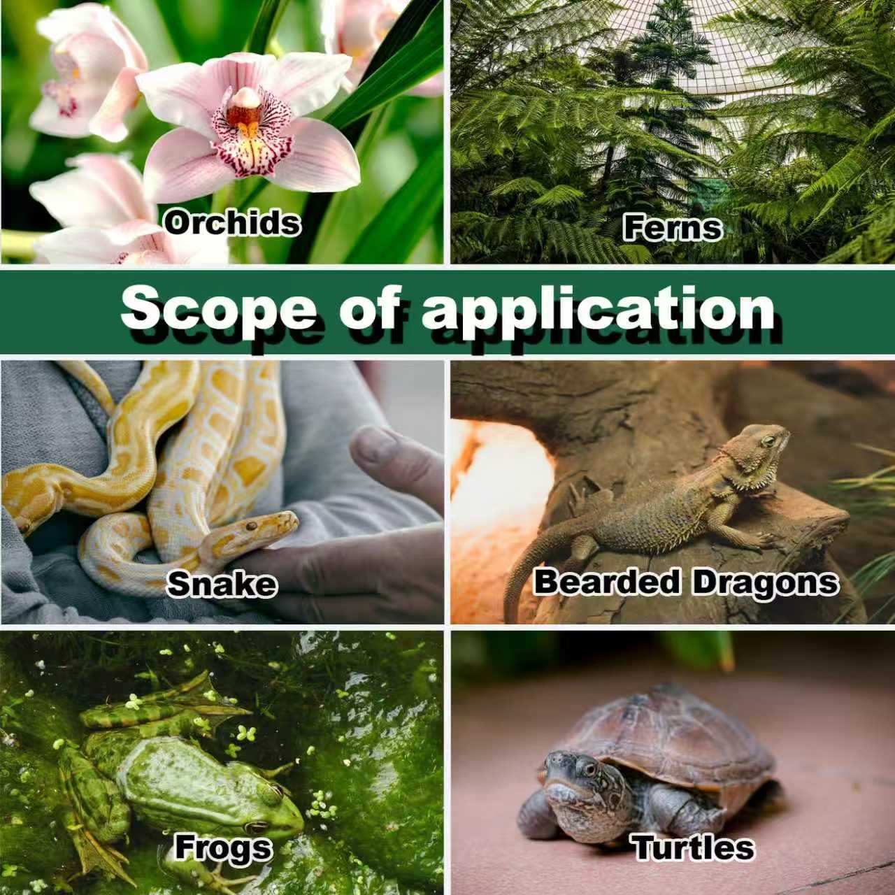 جهاز ترطيب للزواحف مع خرطوم تم - مراجعة Terrarium Fogger Ultrasonic وسعره