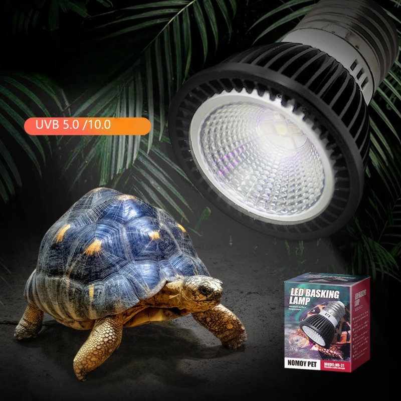 NOMOY الزواحف 110/220 فولت UVB - مراجعة Calcium Powder Reptile وسعره