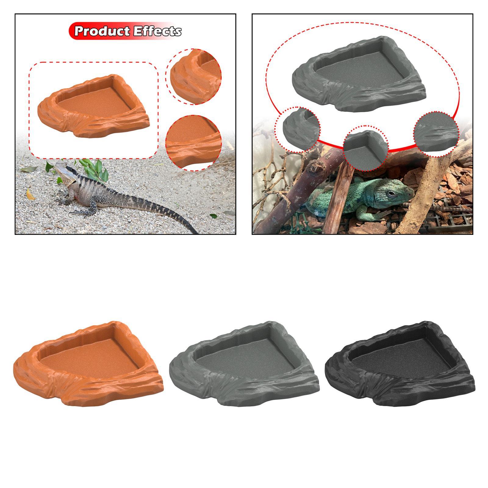 طبق ماء الزواحف وعاء التغذية م - مراجعة Water Dish Reptile وسعره