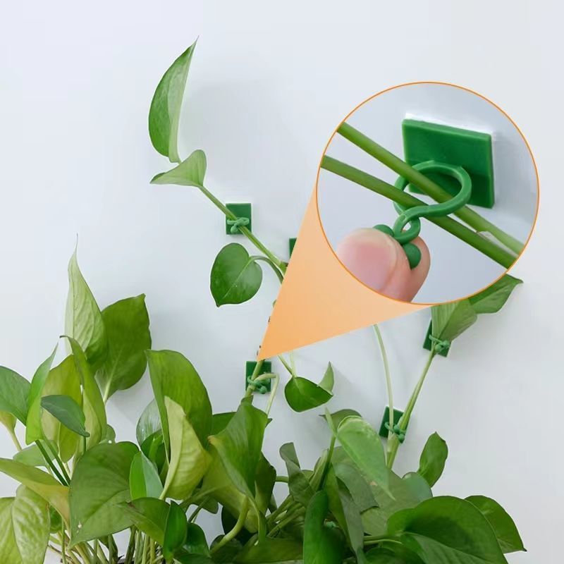 مشابك تثبيت النباتات المتسلقة  - مراجعة Vine Climbing Plastic وسعره