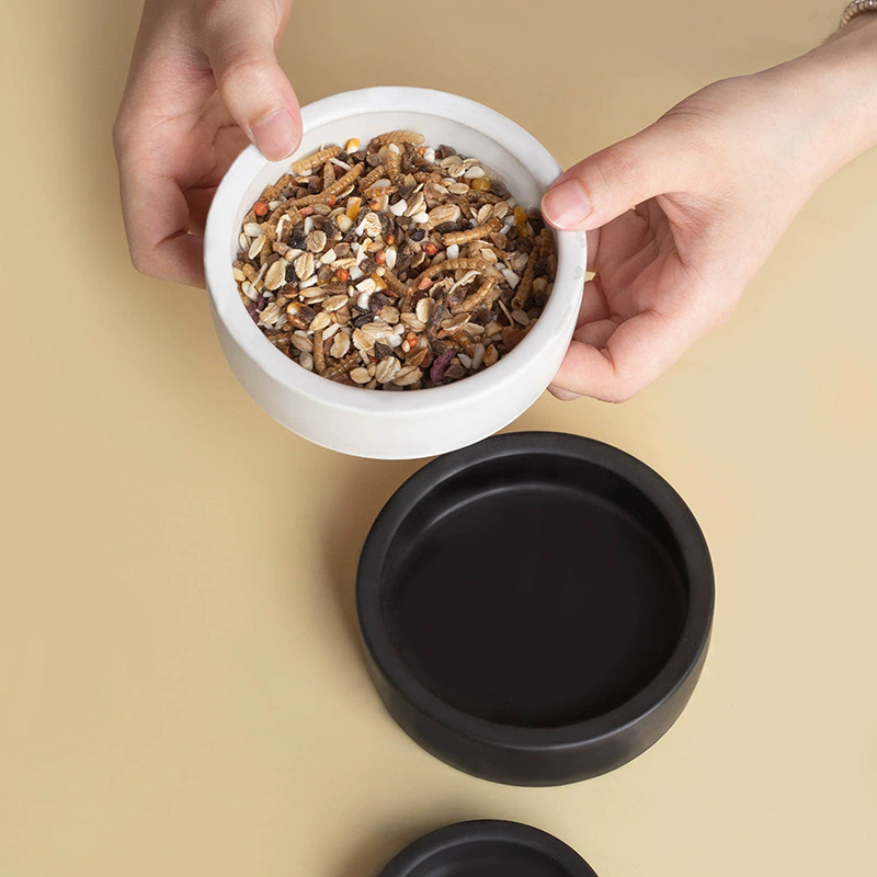 رائج! وعاء طعام للزواحف مضاد ل - مراجعة Water Dish Reptile وسعره