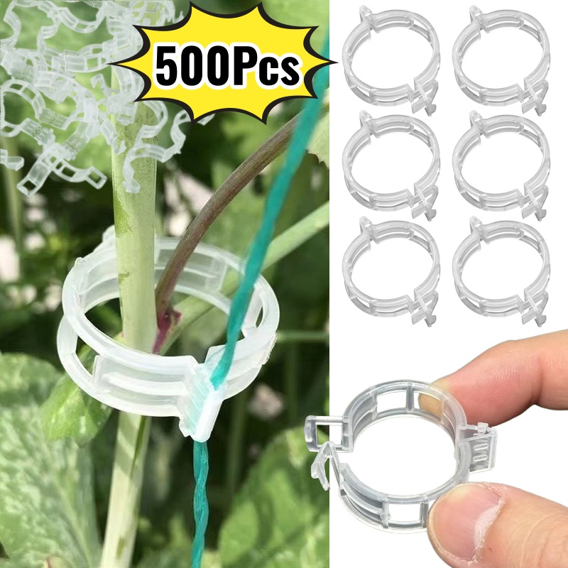 500 قطعة مشابك بلاستيكية لدعم  - مراجعة Vine Climbing Plastic وسعره