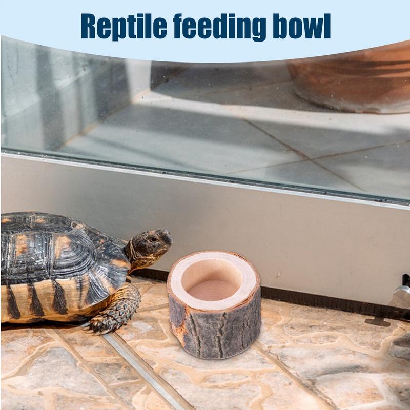 طبق ماء السلحفاة طبق تغذية الز - مراجعة Water Dish Reptile وسعره