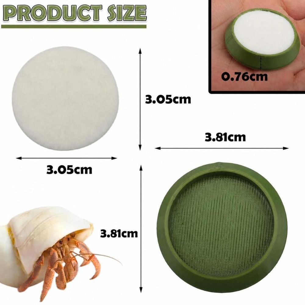 6 قطع من أطباق تغذية الزواحف ا - مراجعة Water Dish Reptile وسعره