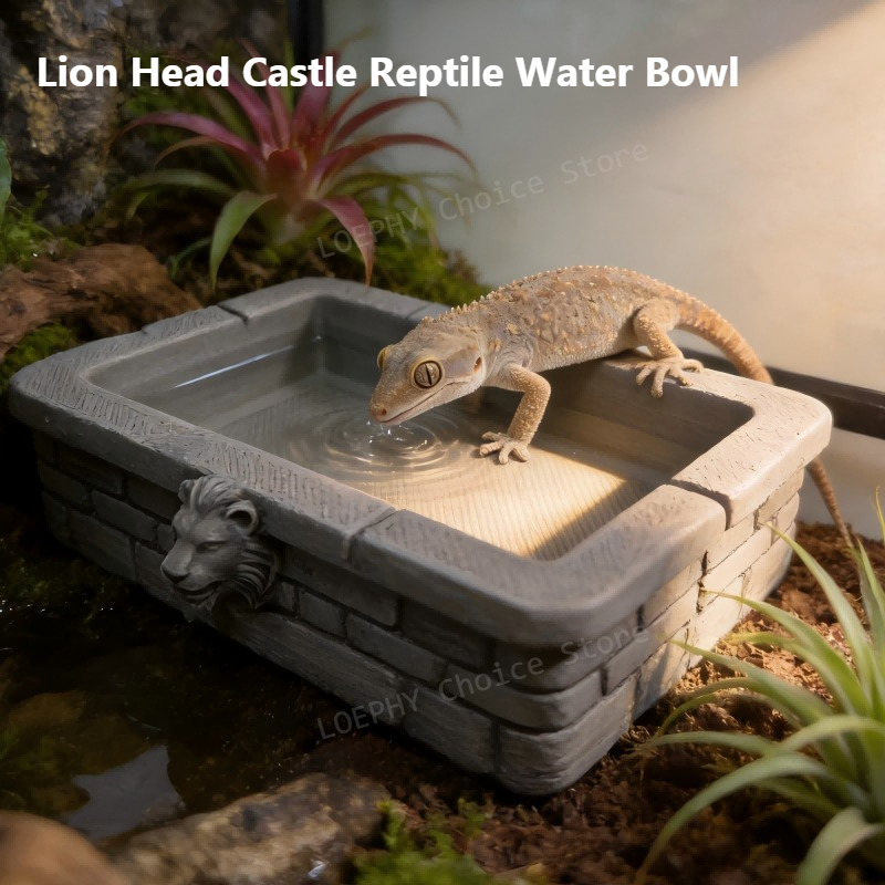 وعاء ماء للزواحف على شكل رأس أ - مراجعة Water Dish Reptile وسعره