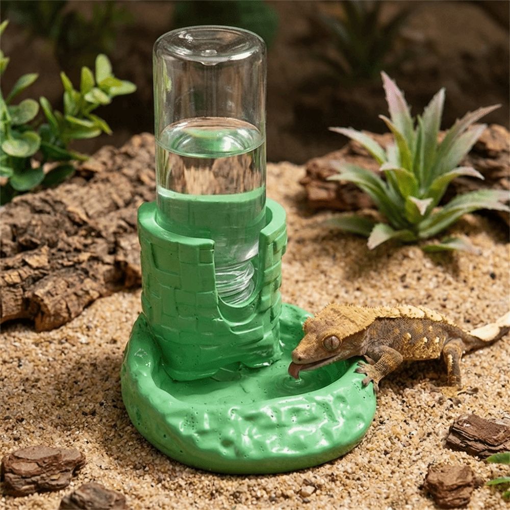 وعاء ماء بلاستيكي للزواحف بقاع - مراجعة Water Dish Reptile وسعره