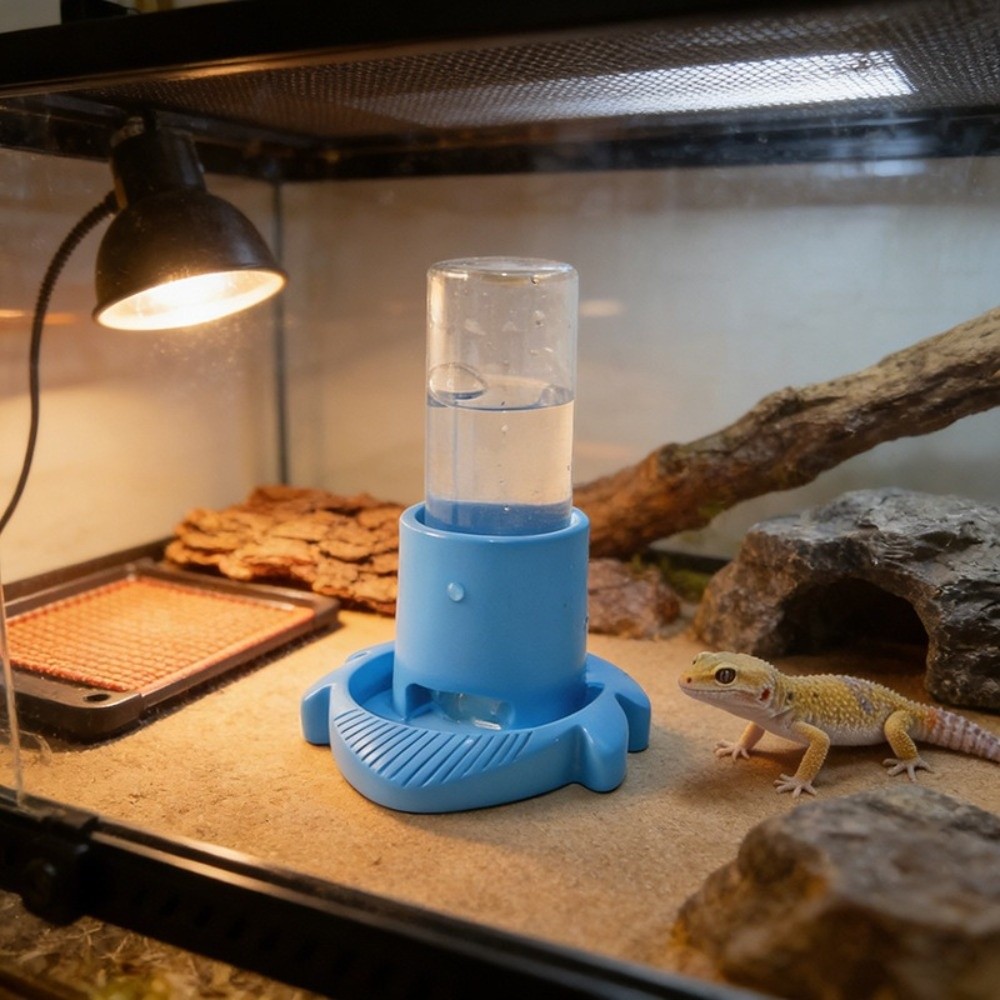 وعاء ماء بلاستيكي للزواحف بقاع - مراجعة Water Dish Reptile وسعره